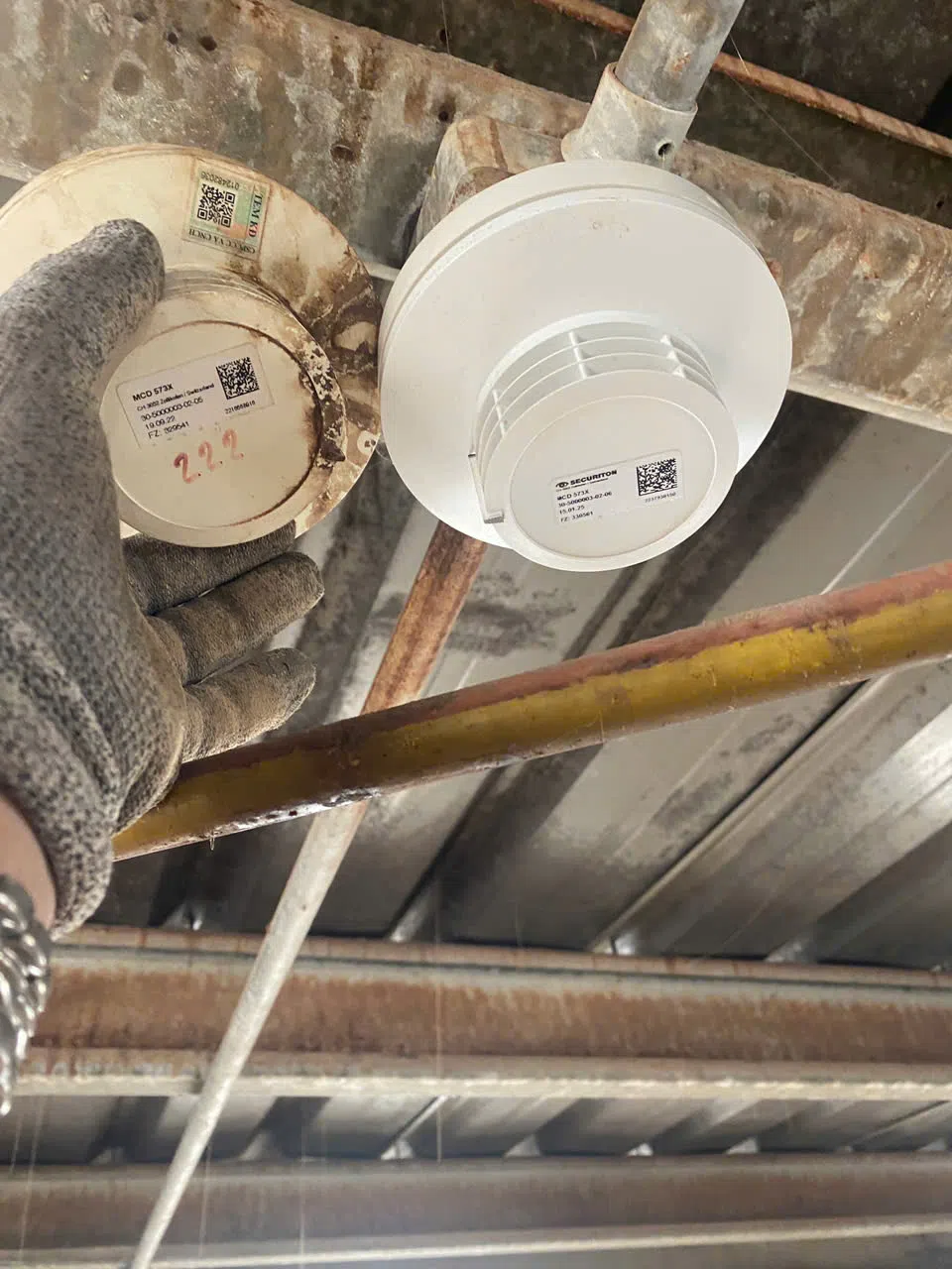 Nhà máy sản xuất thức ăn chăn nuôi ADM Bình Dương